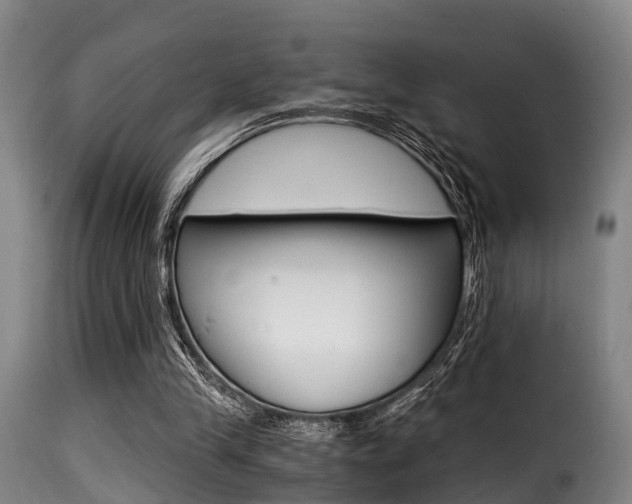 X0000116000245200911191220