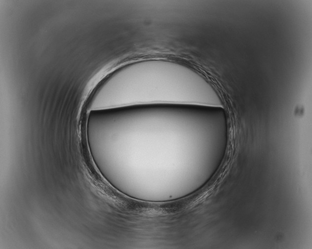 X0000116000246200911191220