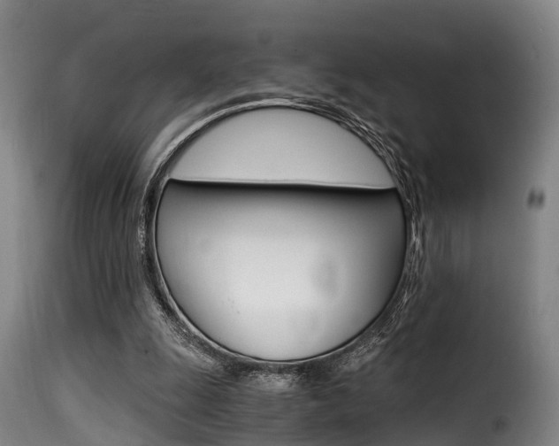 X0000116000247200911191220