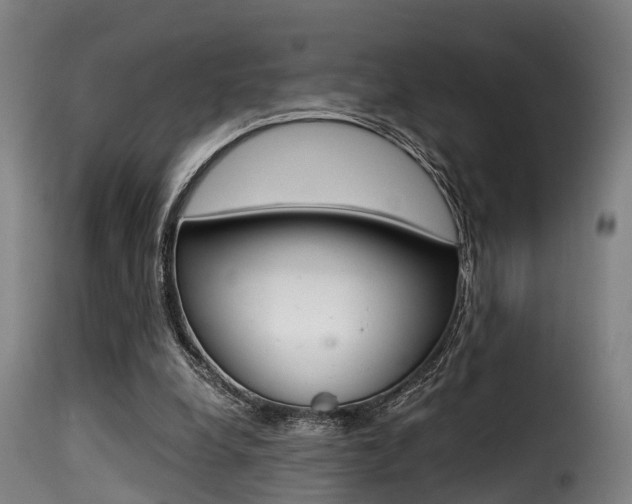 X0000116000248200911191220