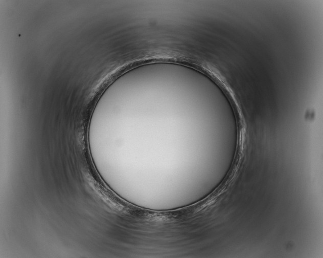 X0000116000249200911191220