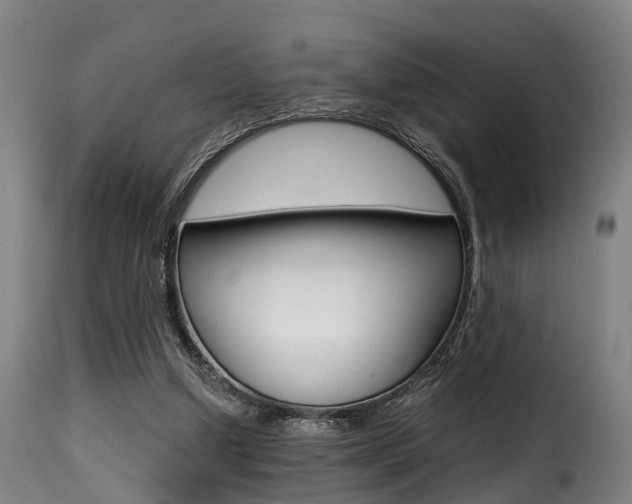 X0000116000250200911191220