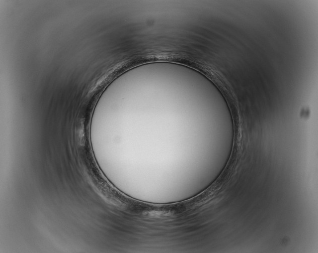 X0000116000251200911191220