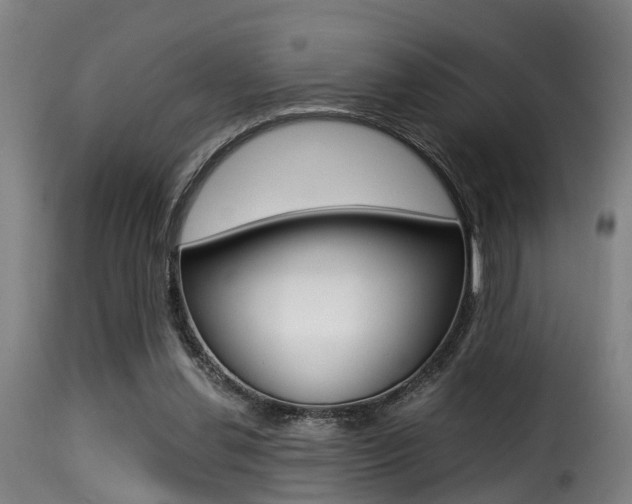 X0000116000252200911191220