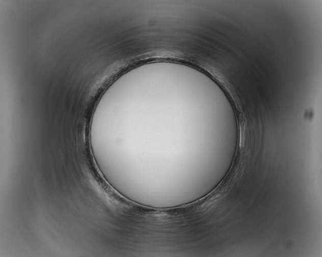 X0000116000253200911191220