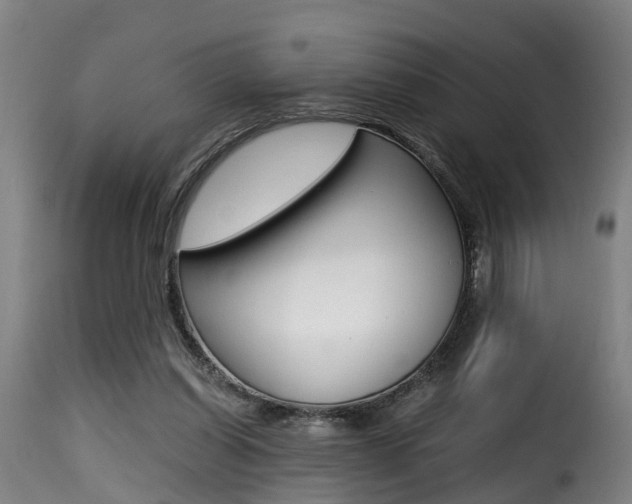 X0000116000254200911191220