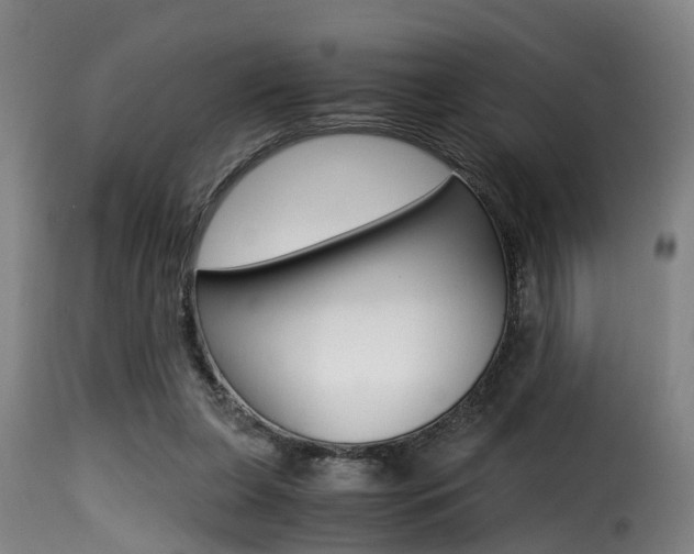 X0000116000255200911191220