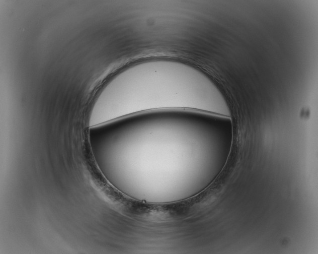 X0000116000256200911191220