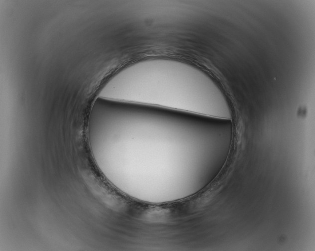 X0000116000257200911191220