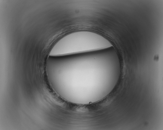 X0000116000258200911191220