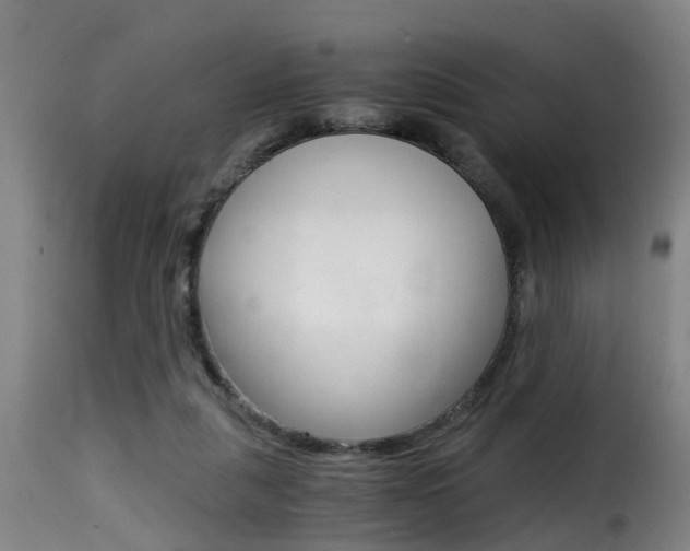 X0000116000259200911191221