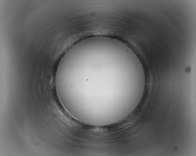 X0000116000261200911191221