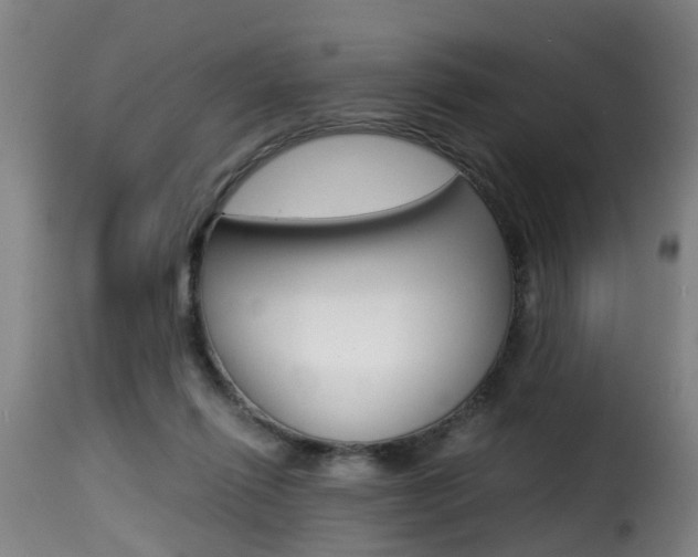 X0000116000262200911191221