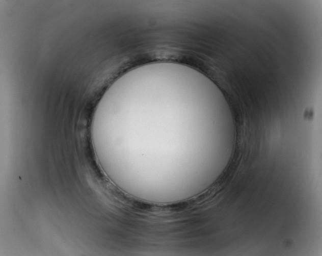 X0000116000263200911191221