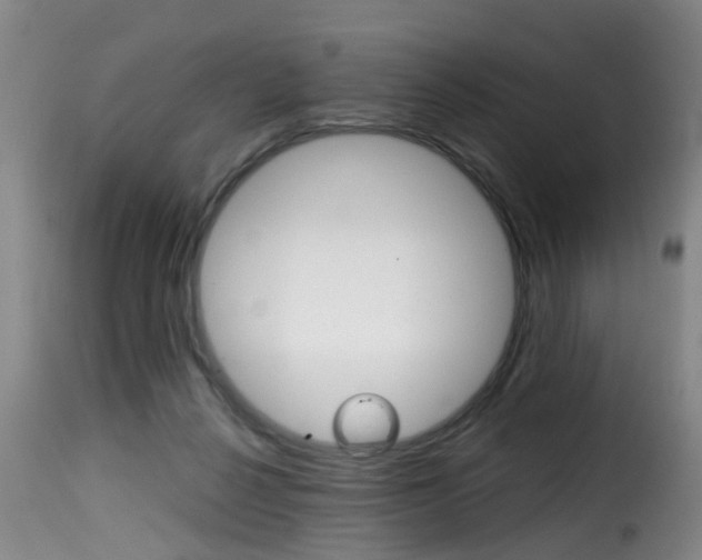 X0000116000264200911191221