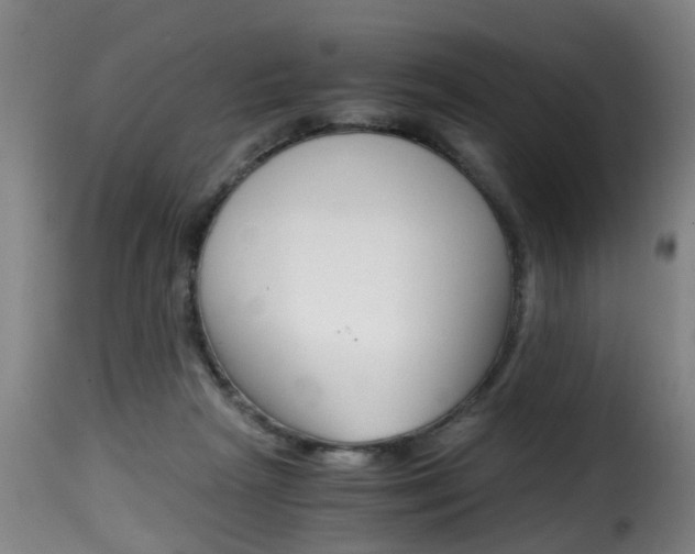 X0000116000265200911191221