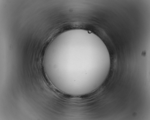 X0000116000266200911191221