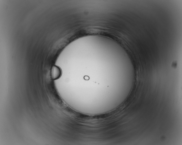 X0000116000267200911191221