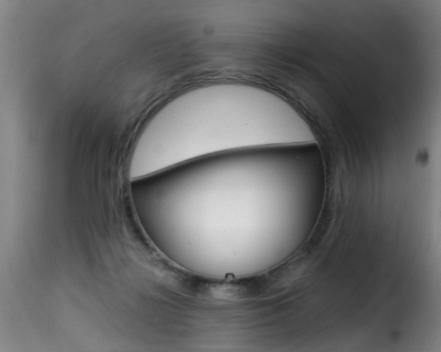 X0000116000268200911191221