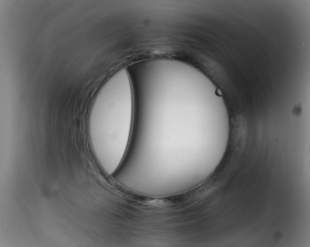 X0000116000269200911191221