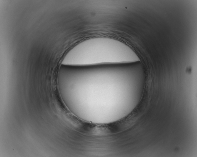 X0000116000270200911191221