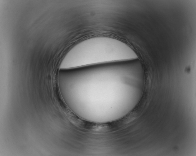 X0000116000274200911191221