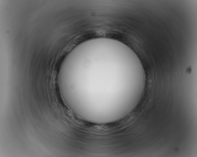 X0000116000275200911191221