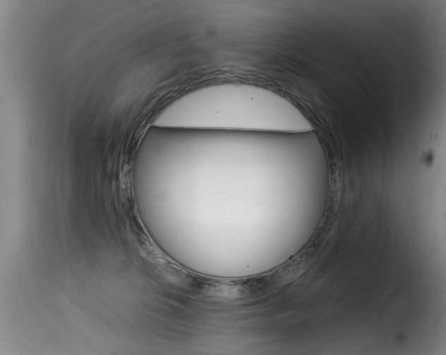 X0000116000276200911191221