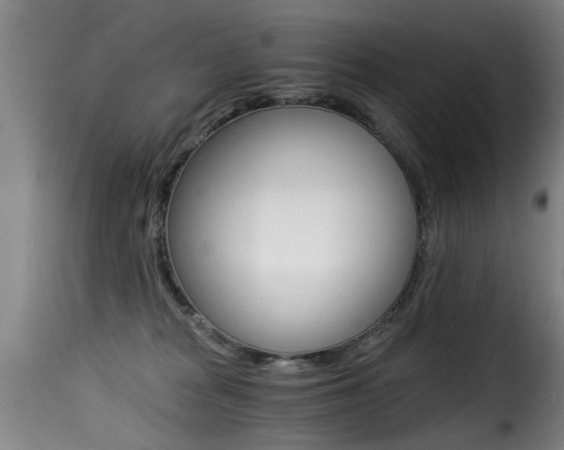 X0000116000277200911191221