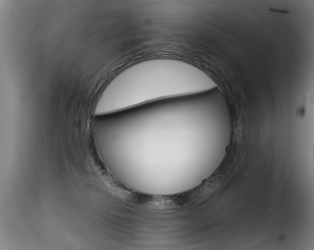 X0000116000278200911191221