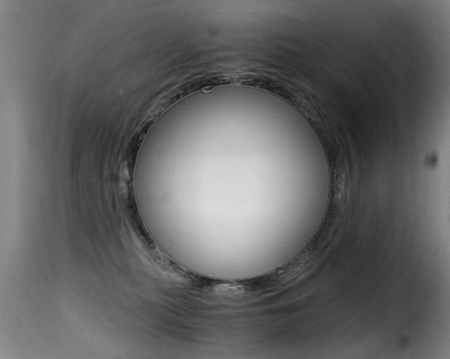 X0000116000279200911191221