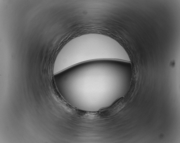 X0000116000280200911191221