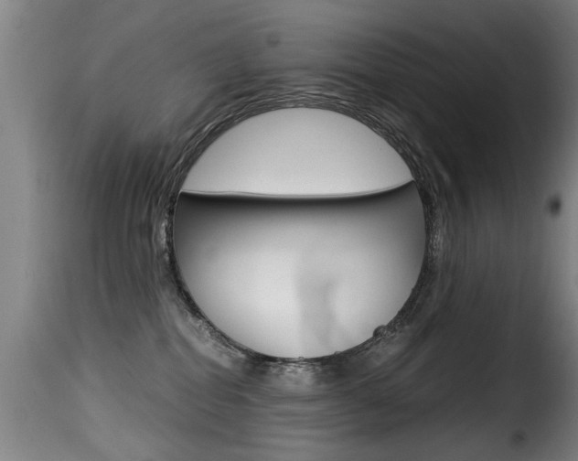 X0000116000282200911191221