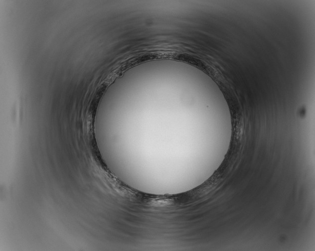 X0000116000283200911191221