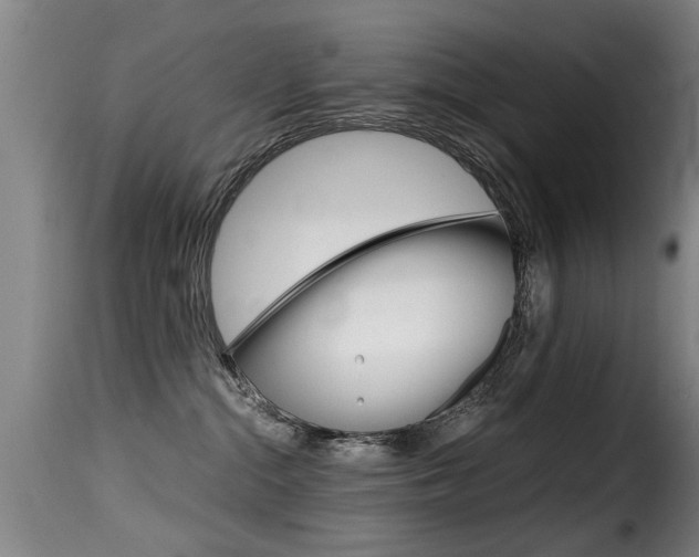 X0000116000284200911191221