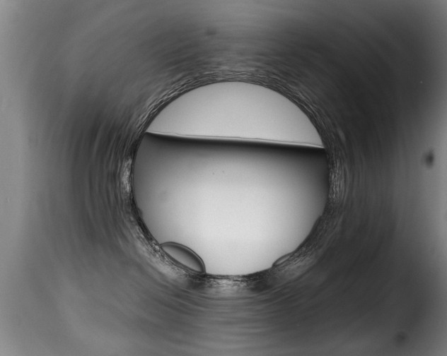 X0000116000286200911191221