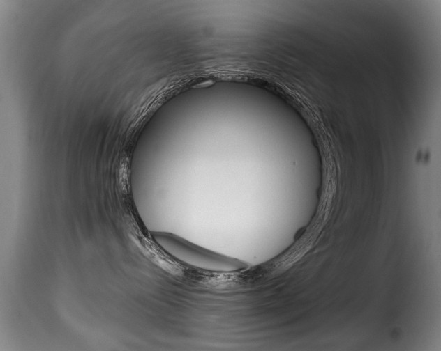 X0000116000288200911191221