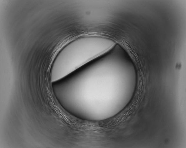 X0000116000289200911191220