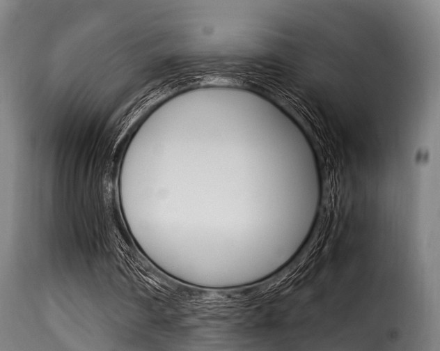 X0000116000290200911191220