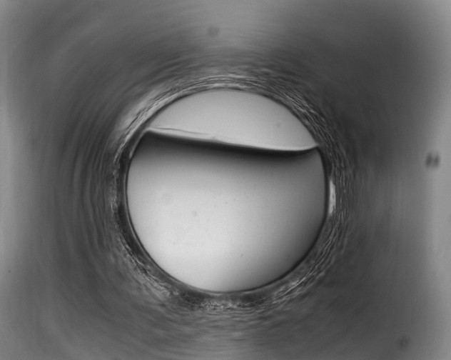 X0000116000291200911191220