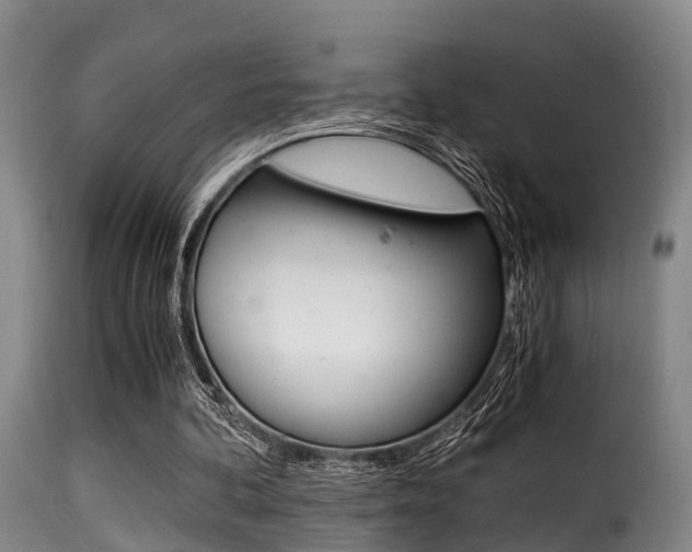 X0000116000292200911191220