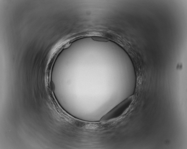 X0000116000294200911191220