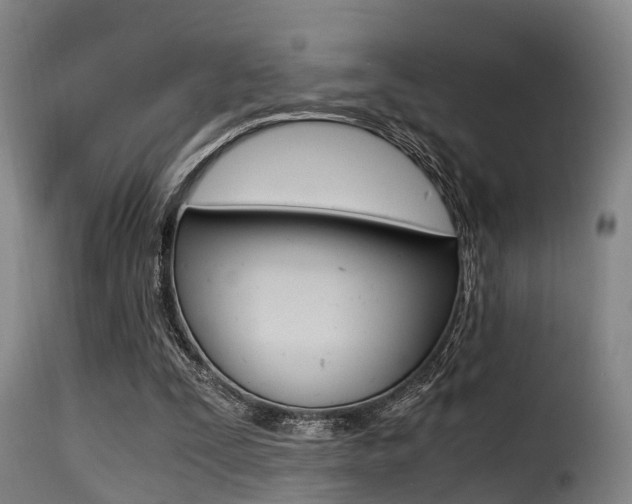 X0000116000295200911191220