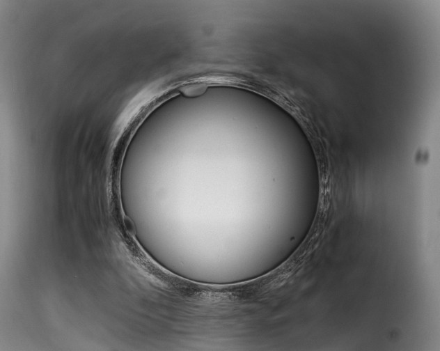 X0000116000296200911191220