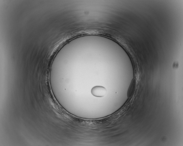 X0000116000297200911191220