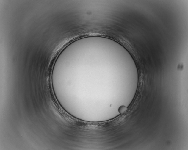 X0000116000298200911191220