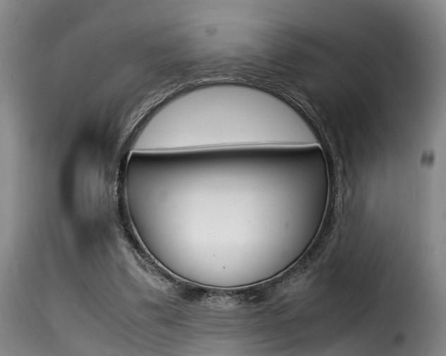 X0000116000299200911191220