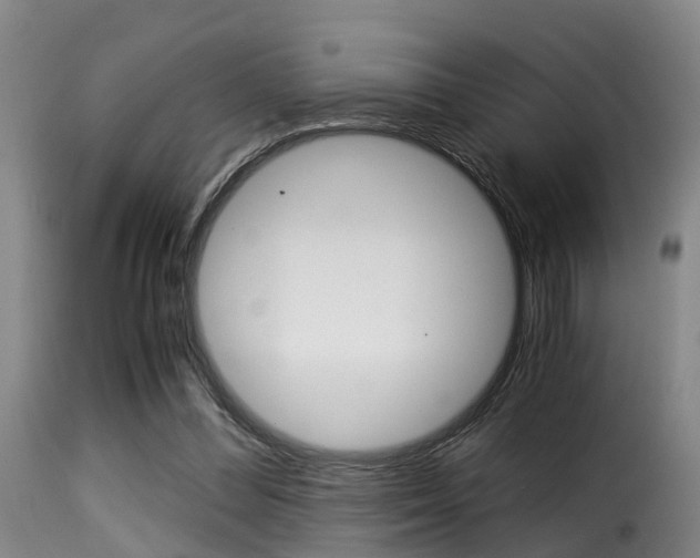 X0000116000300200911191220