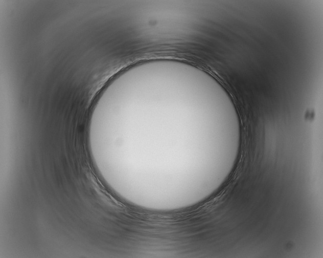 X0000116000301200911191220