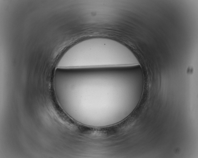 X0000116000303200911191220